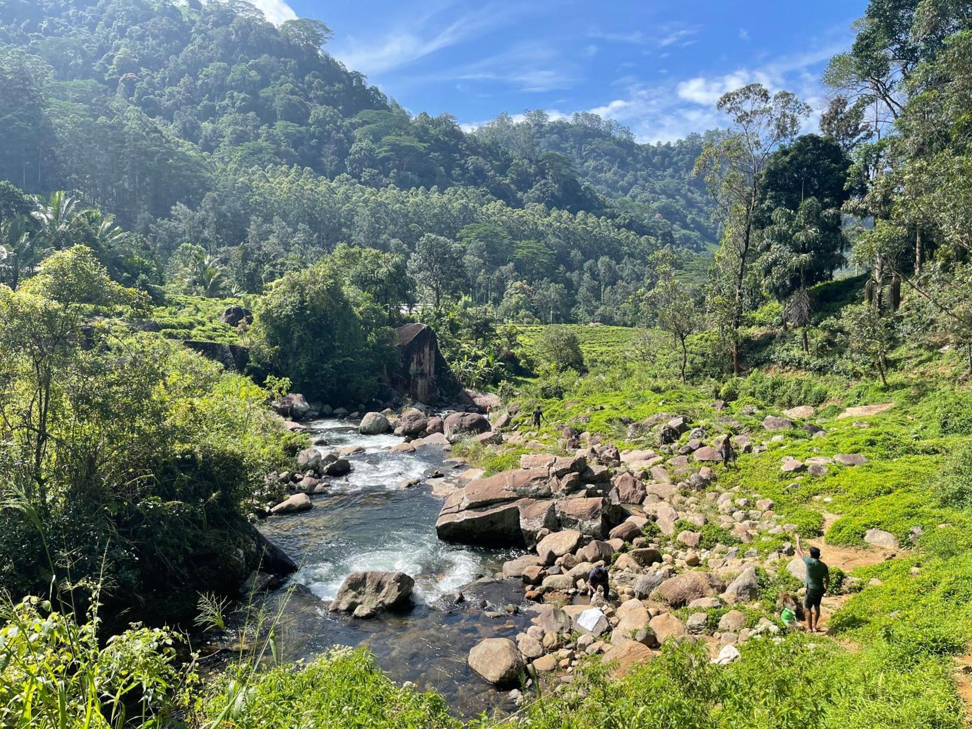 Eagles Lodge - Kandy ดิกานา ภายนอก รูปภาพ